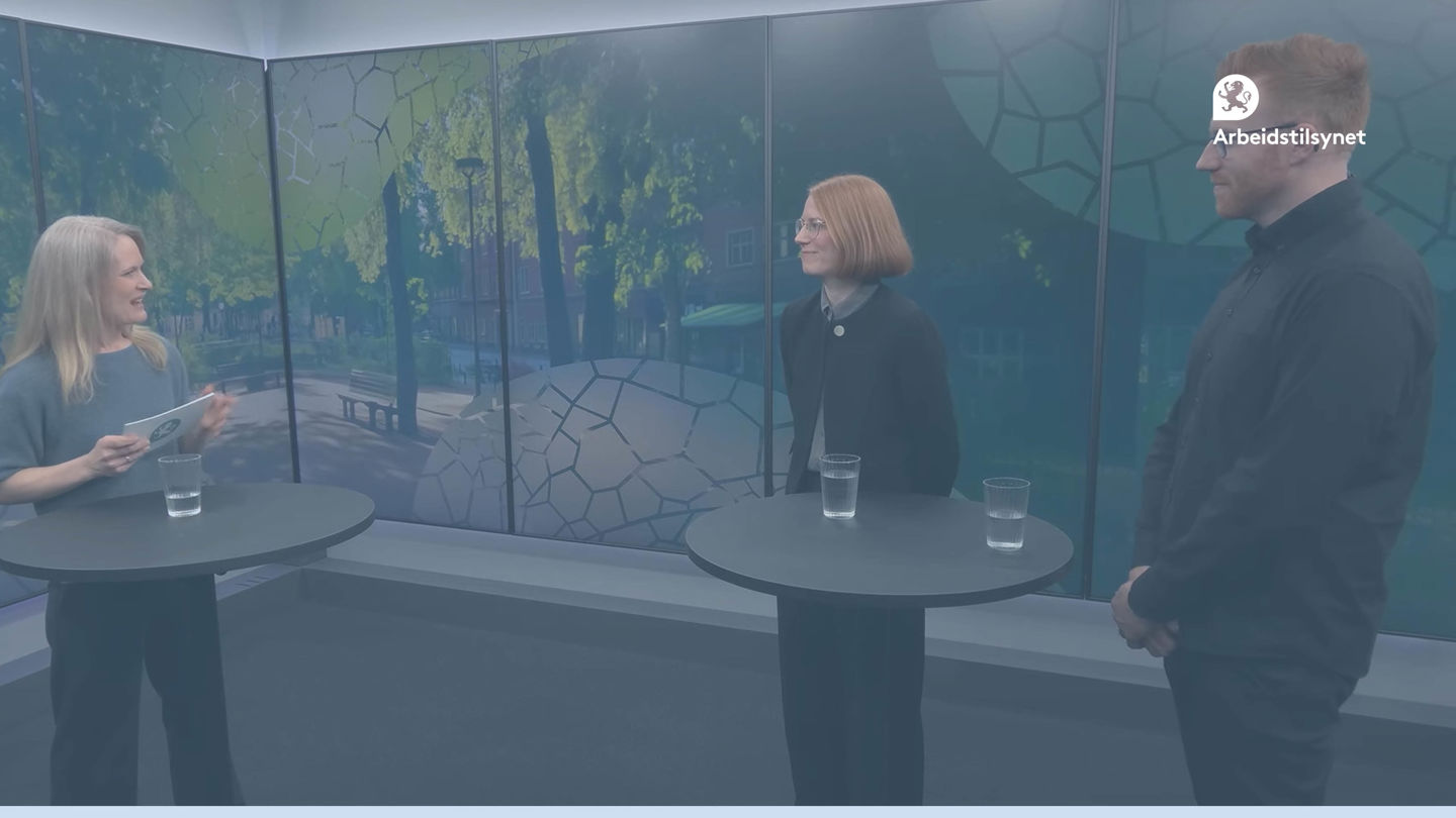 Bilde fra webinaret med programleder Karin Scheel og to av gjestene. Se står foran en fargerik vegg og snakker sammen.