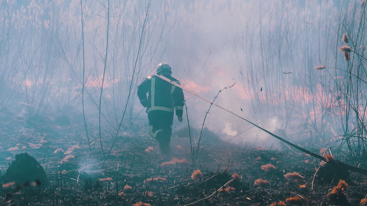 En brannmann i uniform vendt med ryggen til kamera i mens skogen rundt ulmer og brenner, tåke over bildet.